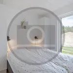 4 Bedroom Pet Friendly In Casa vacanze Glesborg